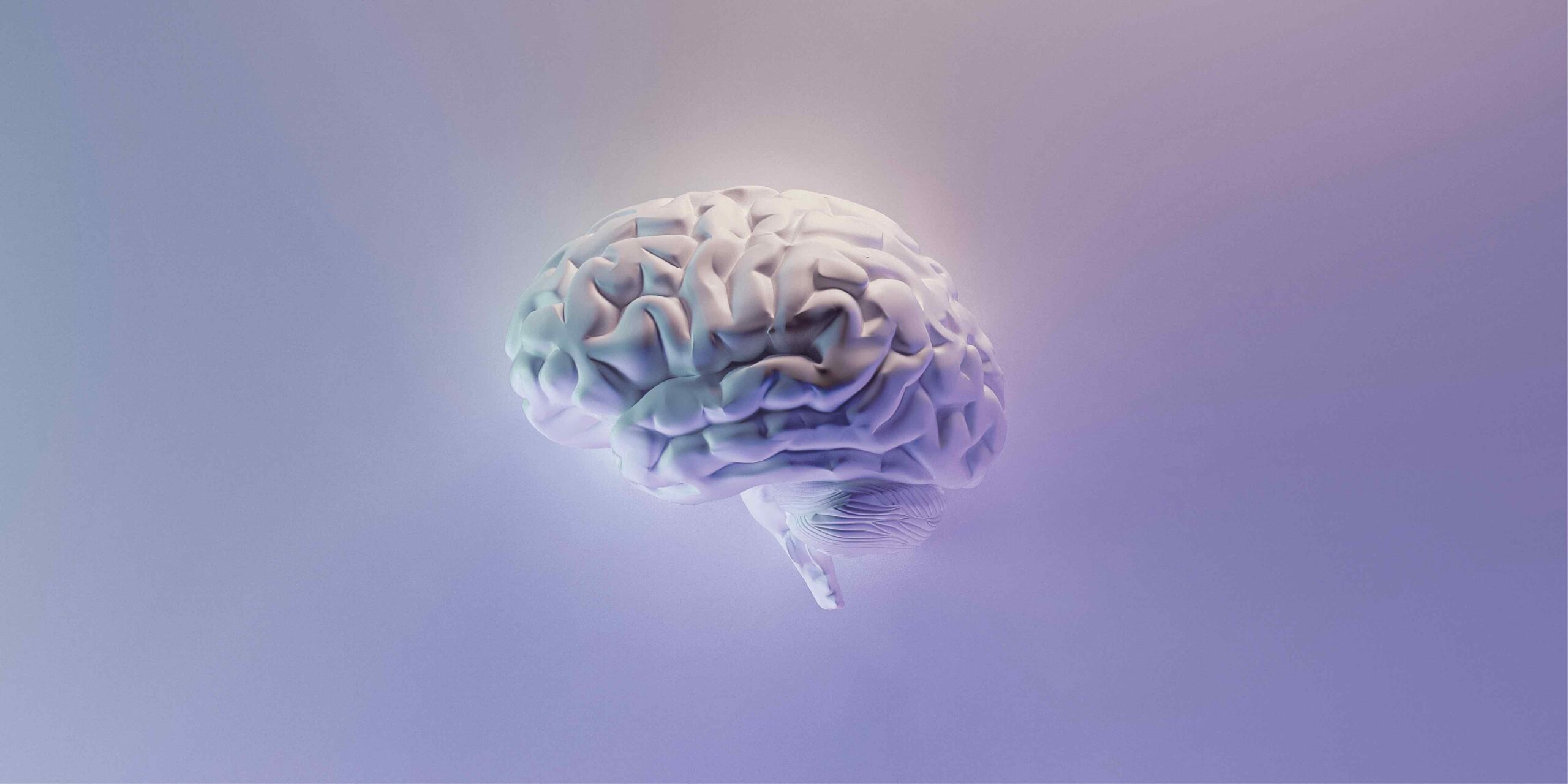 Brain Fog