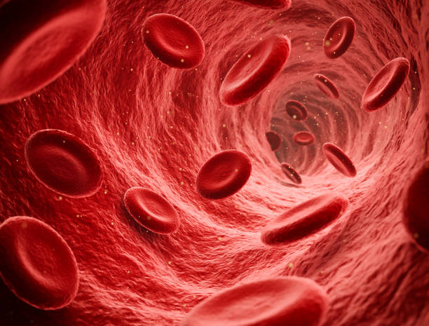 Oxygenyx Circulation